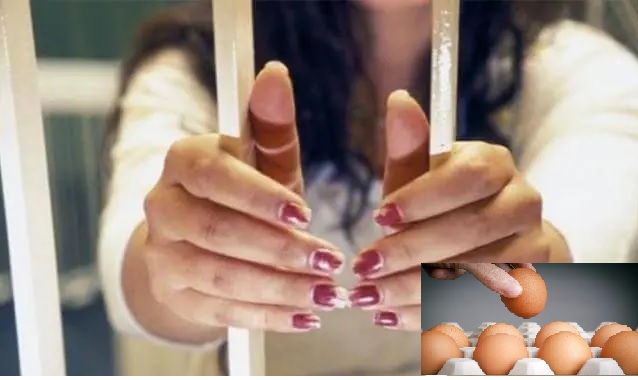 ستة عشر بيضة ترسل عاملة إلى الحبس