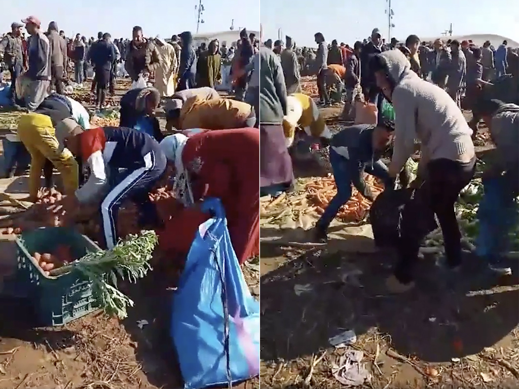 احتجاجات ضد غلاء الأسعار تحولت إلى فوضى ورشق بالحجارة وسرقة للبضائع