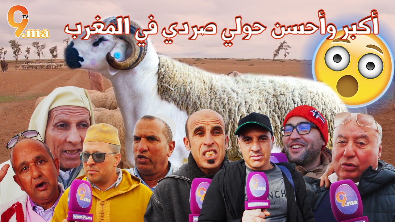 أحسن وأكبر حولي صردي في المغرب