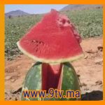 9TV 9TV