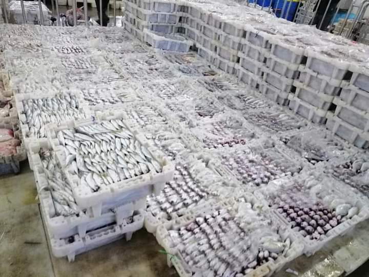 طانطان ¦رمضان يزيد استهلاك الأسماك بطانطان