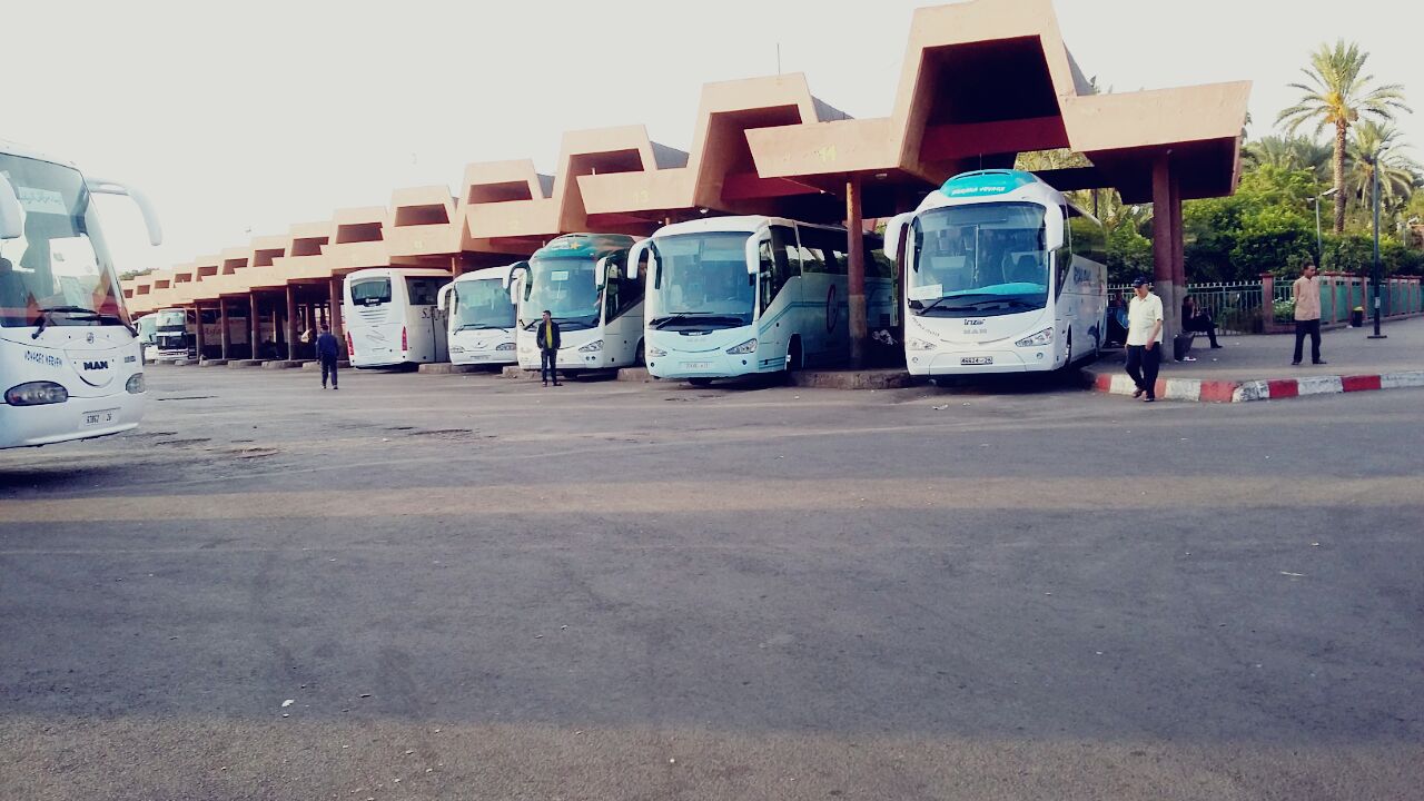 إطلاق عملية التسجيل للحصول على الدعم الاستثنائي الإضافي لمهنيي النقل الطرقي يوم الاثنين المقبل