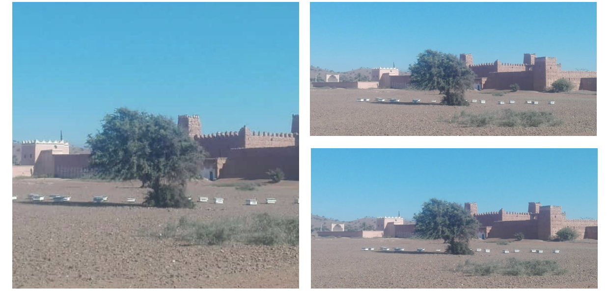 أيت ميلك :جمعيات المقاصة لذوي الحقوق للمياه و الغابات تستفيد من خلايا النحل