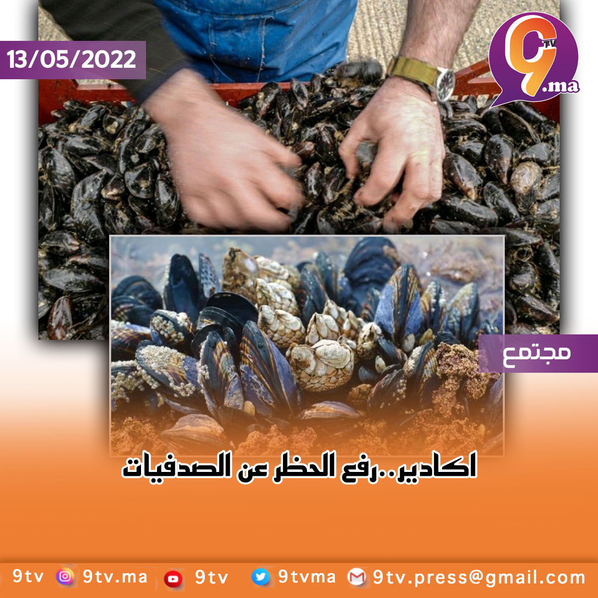 اكادير..رفع الحظر عن الصدفيات