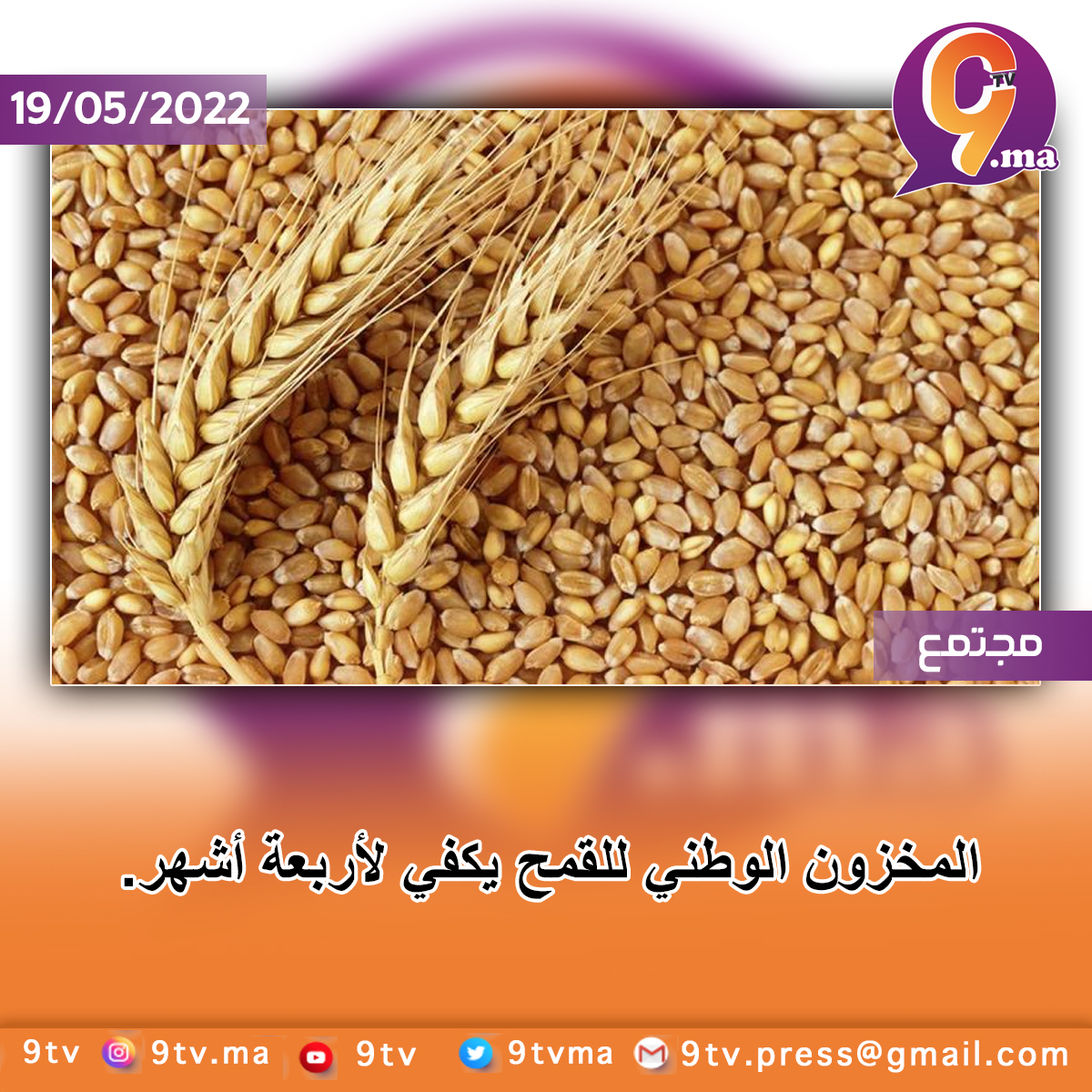 المخزون الوطني للقمح يكفي لأربعة أشهر.