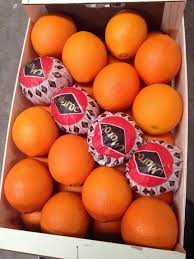 42 في % ، حجم ارتفاع صادرات المغرب من الحوامض