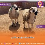 9TV 9TV