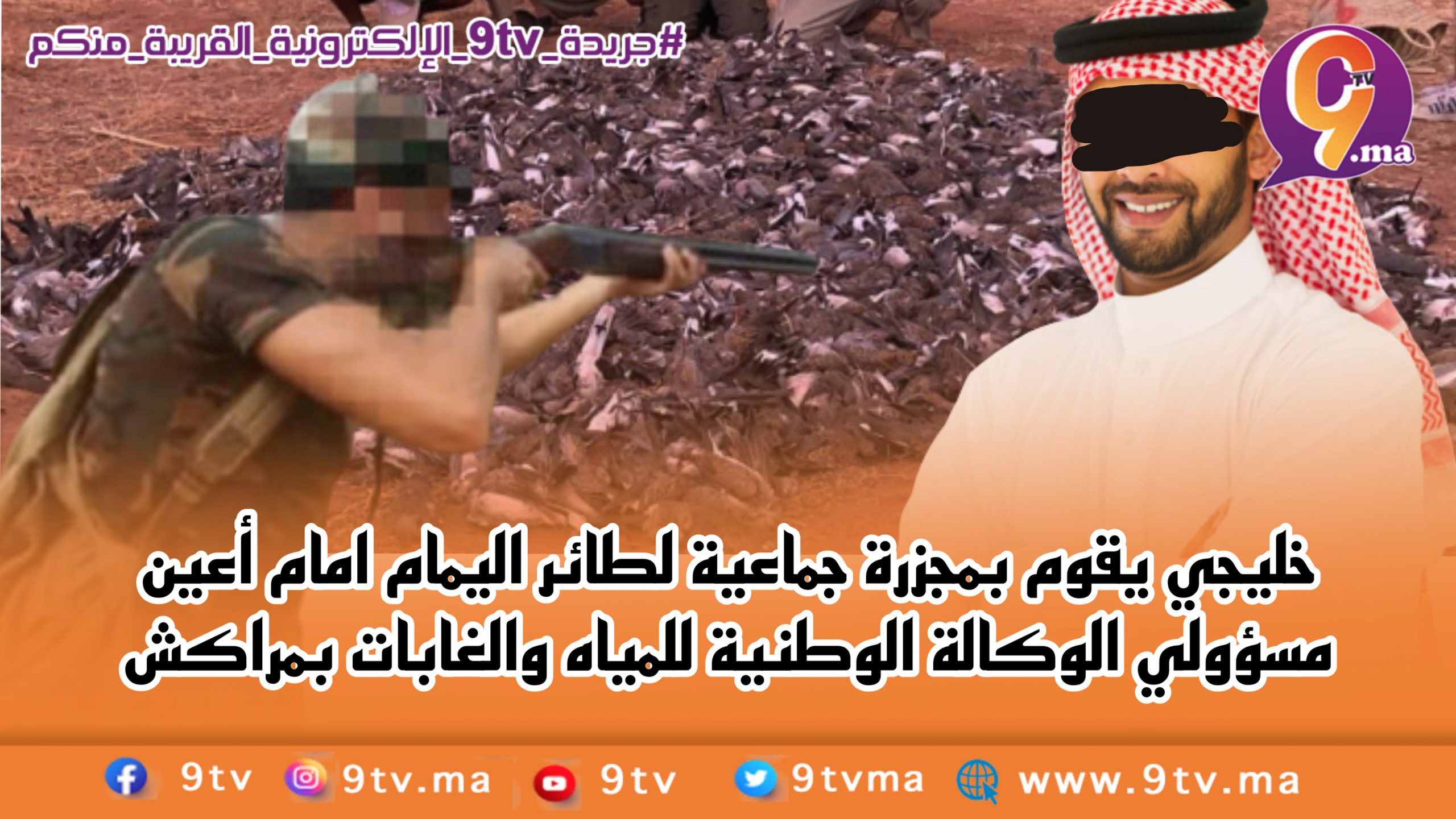 خليجي يقوم بمجزرة جماعية لطائر اليمام امام أعين مسؤولي الوكالة الوطنية للمياه والغابات بمراكش
