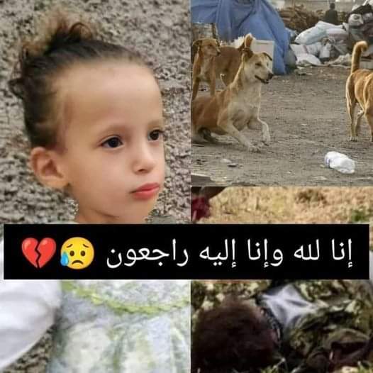 أكادير…العثور على بقايا فتاة أكلتها الكلاب بطريقة وحشية