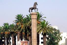 سطات..العمل بفرقة الخيالة للقوات المساعدة بسطات يعيد للمدينة رمزيتها التاريخية