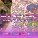 9TV 9TV