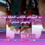 9TV 9TV