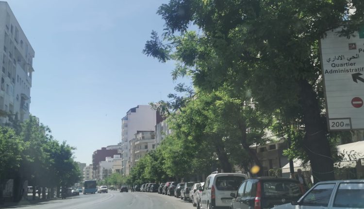 مواطنون بطنجة ينوبون عن الجماعة في تقليم أشجار متطاولة على شرفات منازلهم