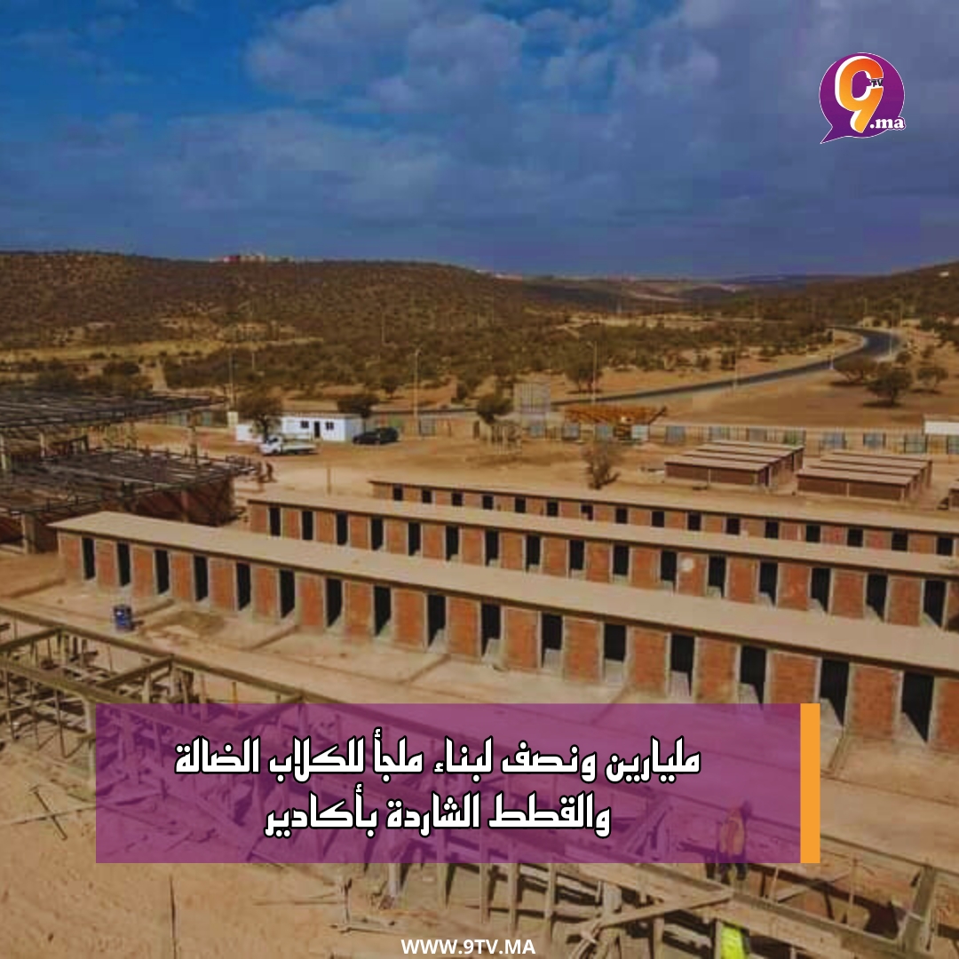 مليارين ونصف لبناء ملجأ للكلاب الضالة والقطط الشاردة بأكادير
