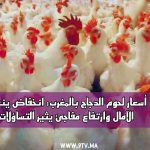 youssef