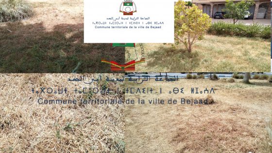 “أبي الجعد… جريمة اغتيال المساحات الخضراء على مرأى الجميع”