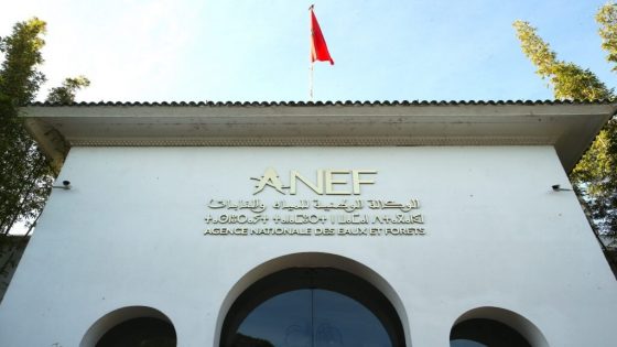 أكثر من 1500 عملية إحاشة مبرمجة للخنزير البري خلال موسم 2025-2026