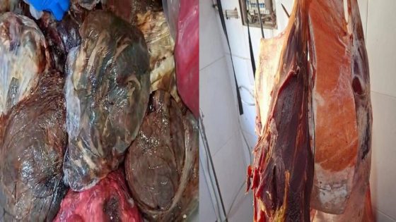 حملة صحية تطيح بـ200 كيلوغرام من اللحوم الفاسدة داخل محل للجزارة