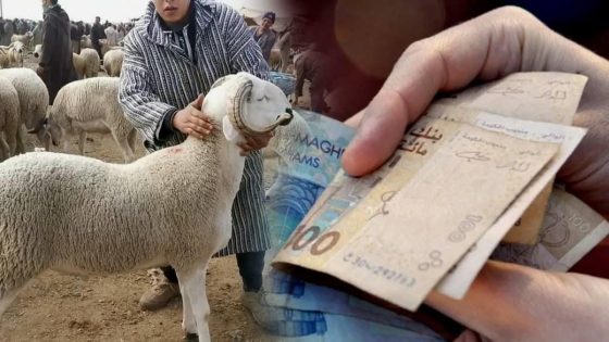 بايتاس: 580 ألف كسّاب استفادوا من الدعم المباشر بقيمة تجاوزت 2,4 مليار درهم