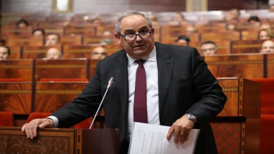 وزارة التعليم العالي تدعو الجامعات إلى تيسير ولوج الطلبة الأفارقة