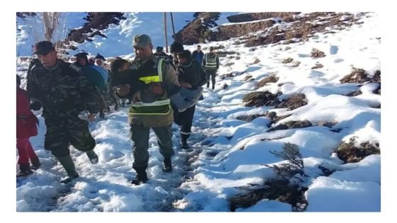 استنفار أمني ينقذ خمس عائلات رحل حاصرتها الثلوج بإقليم ميدلت