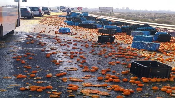 تساقط صناديق ليمون من شاحنة موجهة للتصدير يربك حركة السير بالطريق الوطنية رقم 10