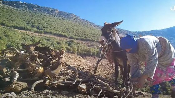 برد قارس يعري هشاشة القرى الجبلية بسوس ماسة