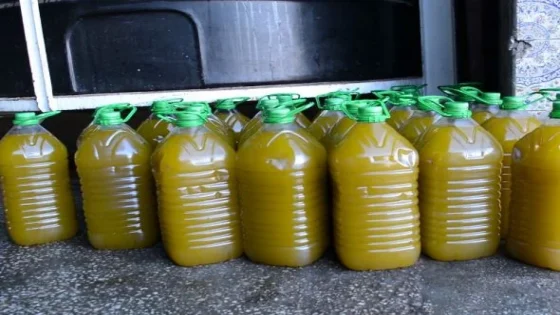 الدرك الملكي يحجز 2500 لتر من زيت الزيتون الفاسد بتغسالين