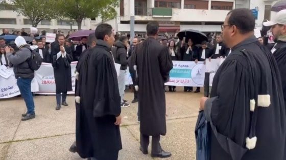 المحامون ينهون إضرابهم ويستأنفون العمل بعد تجميد مشروع قانون المهنة