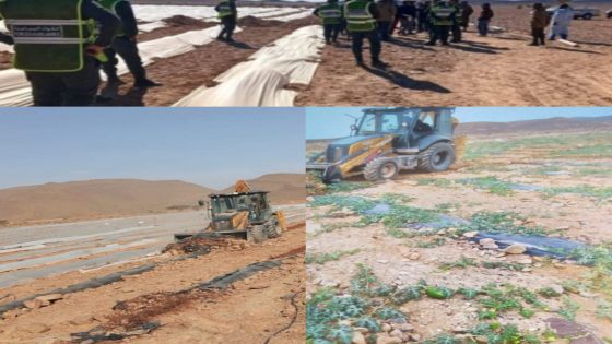 إقليم زاكورة: عندما تتحول السلطة إلى تسلط وتجاوز الحدود