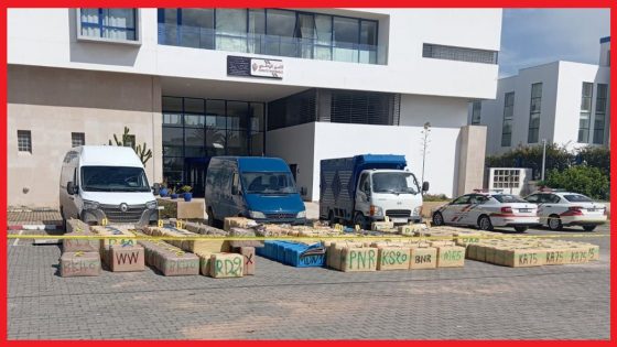 إحباط تهريب دولي ضخم للمخدرات بالصويرة.. حجز أزيد من 11 طناً من “الشيرا”