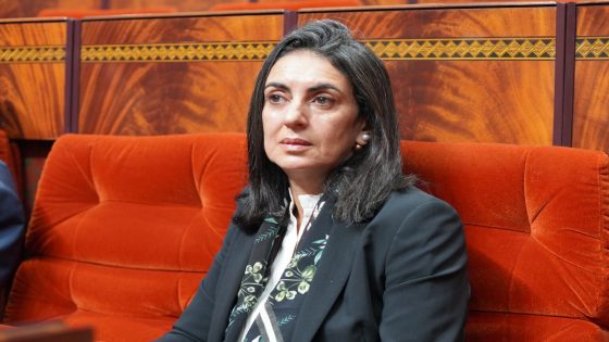 فتاح: تدفقات العملة الصعبة تناهز 50 مليار درهم وتعكس ثقة المستثمرين في المغرب