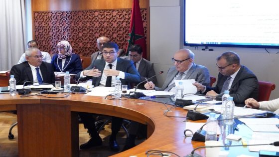 بنسعيد: المجلس الوطني للصحافة هيئة تنظيمية وليس “حكومة” ولا توجه لفرض الوصاية