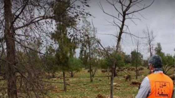 السجن النافذ يطوي ملف اعتداء على عون سلطة باشتوكة أيت باها