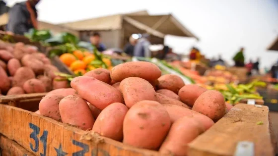 بعد البصل… البطاطس تُلهب الأسواق المغربية وترهق جيوب المواطنين