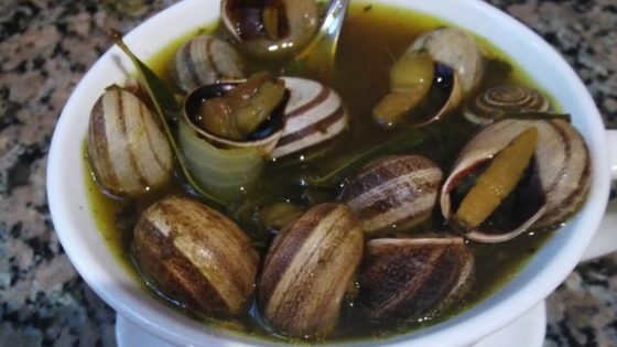 تحذير من “البابوش” غير الآمن.. حالات تسمم تدق ناقوس الخطر وتستنفر دعوات للمراقبة