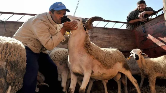 منحة العيد تعود للواجهة.. إعفاءات ضريبية وتشجيعات قانونية لفائدة الأجراء والمشغلين