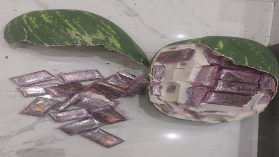 معلومات “الديستي” تقود إلى إحباط عملية دولية لتهريب المخدرات بطنجة