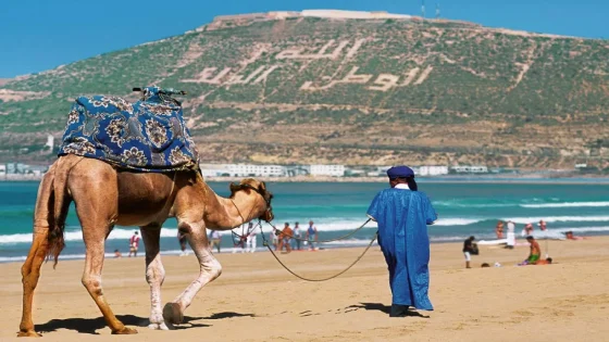 السياحة المغربية تواصل النمو رغم تباطؤ الوافدين.. هل دخل القطاع مرحلة الاستقرار؟