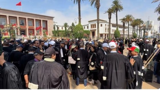 رسمياً.. قانون تنظيم مهنة المحاماة يدخل حيز التنفيذ ويضع المهنة أمام مرحلة جديدة