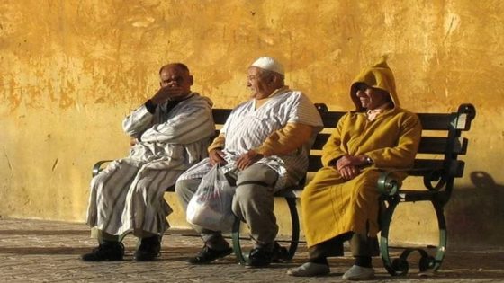 انتخابات 2026.. الأحزاب تتسابق لرفع المعاشات وإصلاح أنظمة التقاعد