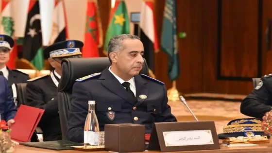 حموشي يستقبل السفير الياباني بالرباط ويبحثان تعزيز التعاون الأمني بين البلدين