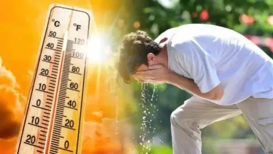 من 38 إلى 46 درجة.. موجة حر قوية تضرب عدداً من مناطق المغرب