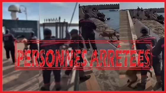 أكادير.. إحالة شخصين على النيابة العامة للاشتباه في تعنيف قاصر وتحريض كلب على أطفال
