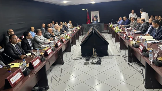 أكادير إداوتنان.. 140 مشروعا للشباب تستفيد من تمويل يتجاوز 7 ملايين درهم
